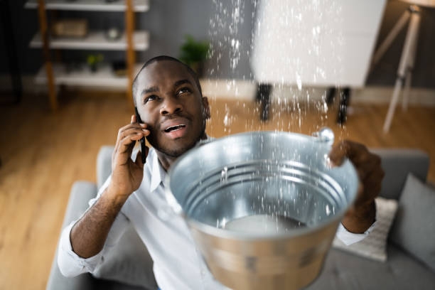 Best Flood restoration services  in Pocomoke City, MD