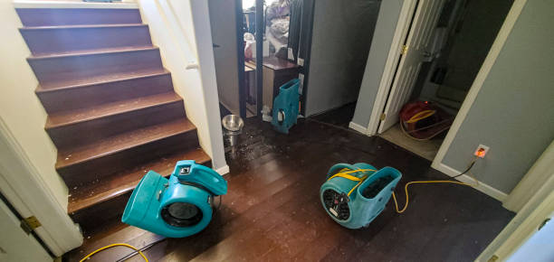 Best Fire Damage Restoration  in Pocomoke City, MD