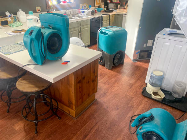 Best Local water damage restoration  in Pocomoke City, MD
