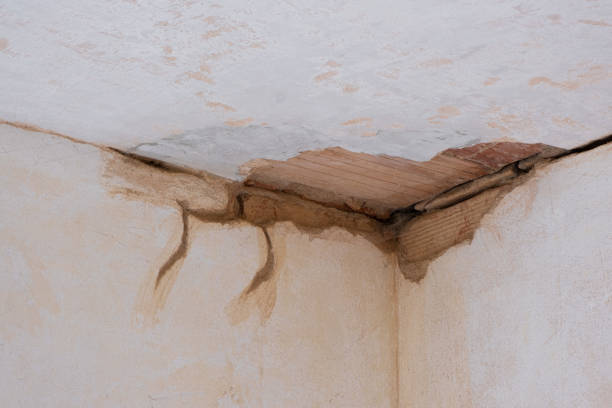 Best Water damage restoration near me  in Pocomoke City, MD
