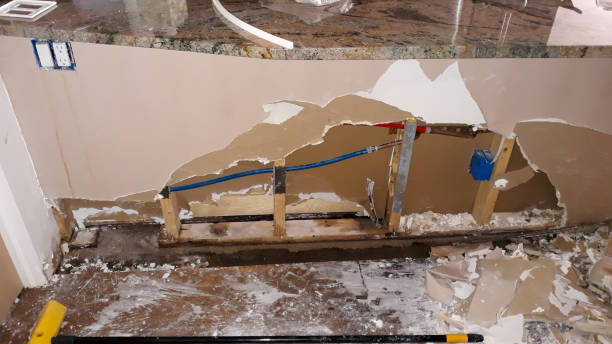 Best Mold removal after water damage  in Pocomoke City, MD
