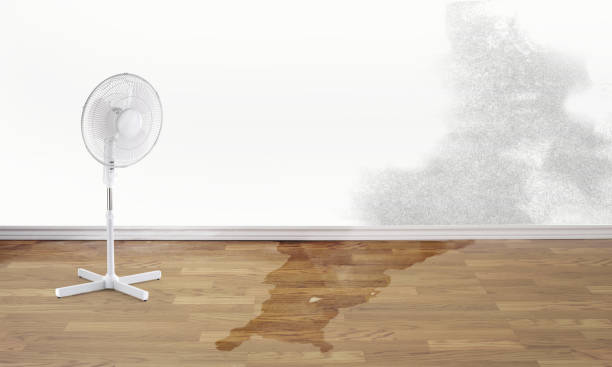  Pocomoke City, MD Water damage restoration Pros