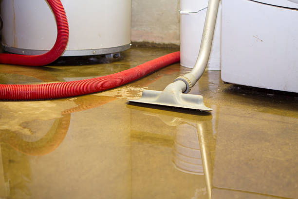 Best Flood damage cleanup  in Pocomoke City, MD