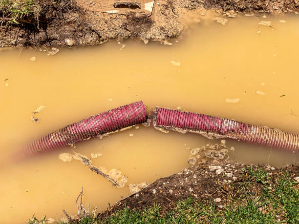Best Water damage restoration near me  in Pocomoke City, MD