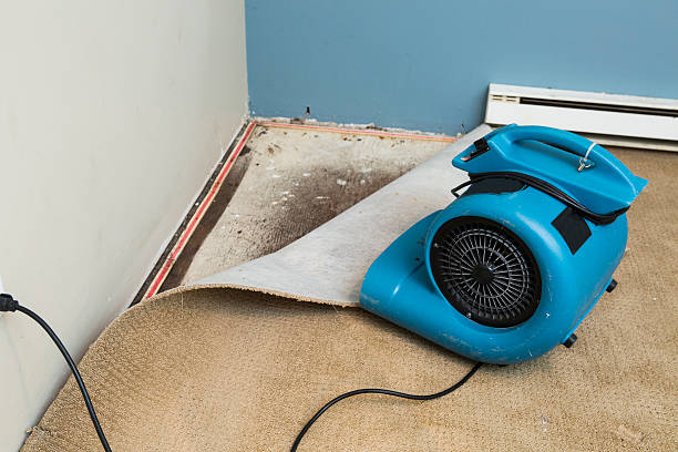 Carpet water damage restoration in MD